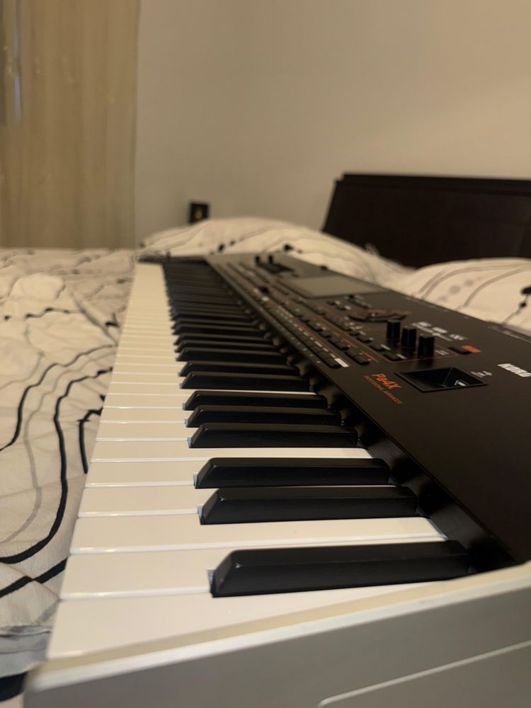Korg PA4x 76 key international