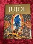 Jujol editura Taschen album arhitectura art nouveau Spania Gaudi