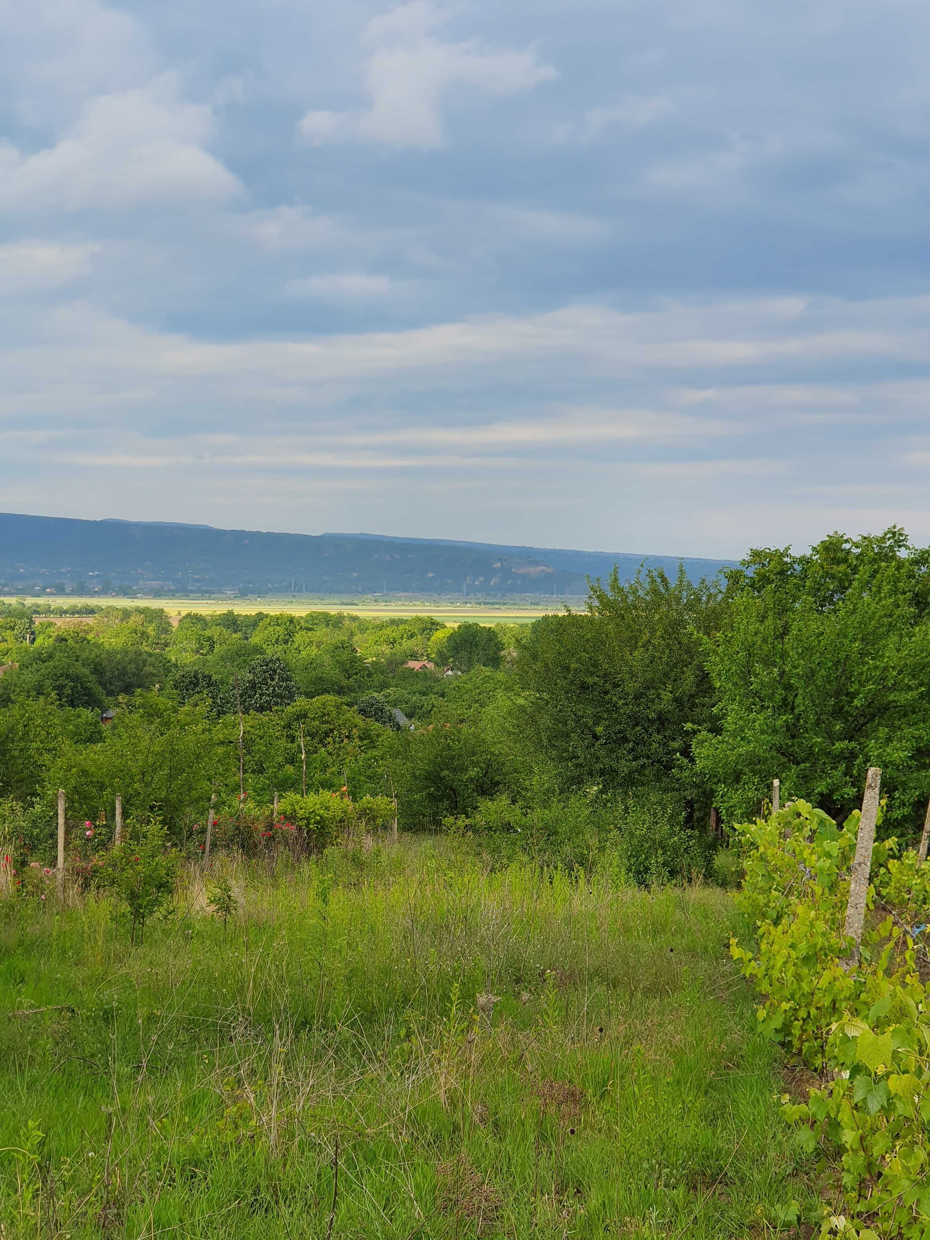 Vand Teren Niscov plus Casa Cadou