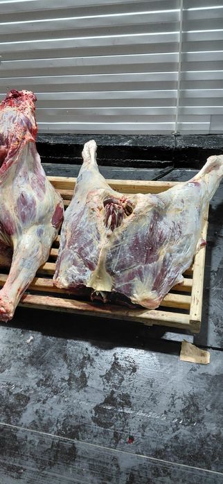 Мясо говядины конины