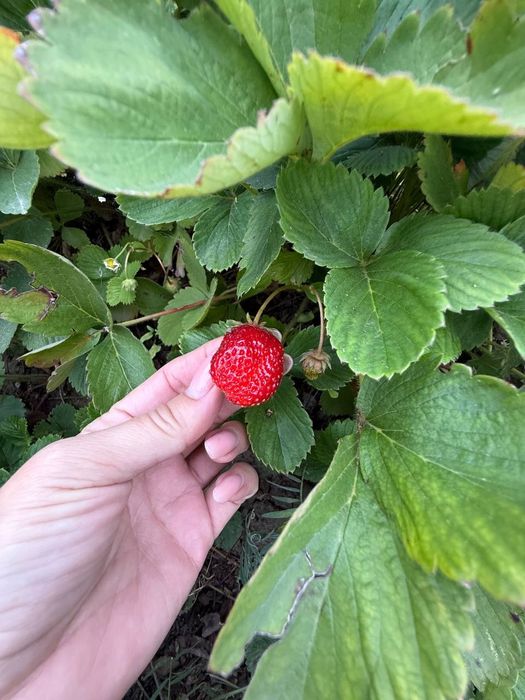 ПРОДАЕТСЯ или ОБМЕНЯЮ дом в городе Астана Жибек жолы