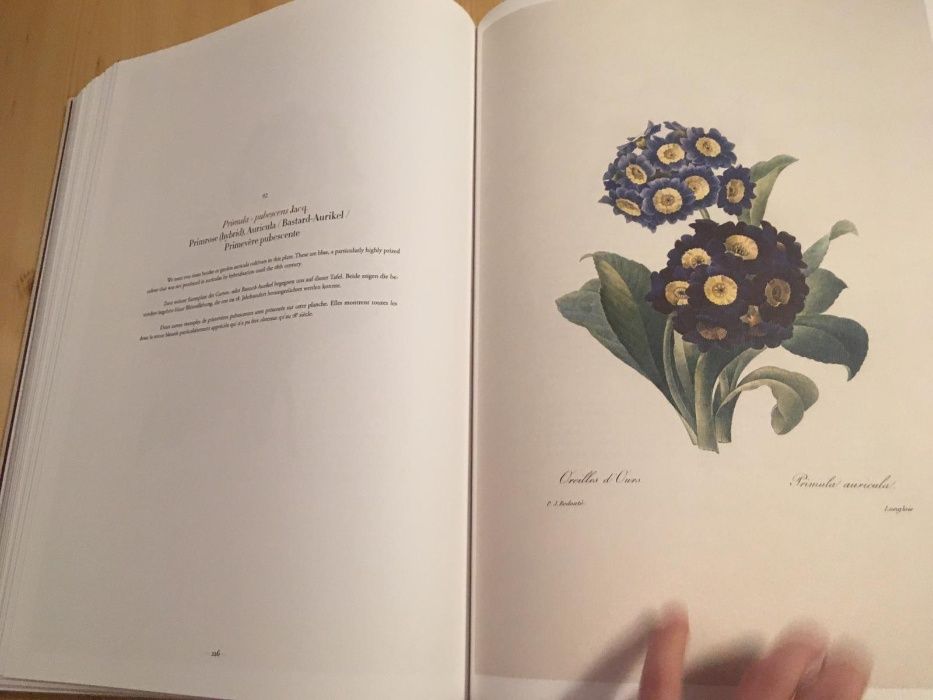 Redouté cele mai frumoase flori album hartie Rives litografii Redoute