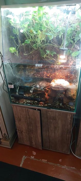Akvarium - Paluyfarium sotiladi.