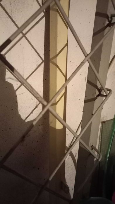 Grilaj metalic, USA si TOC