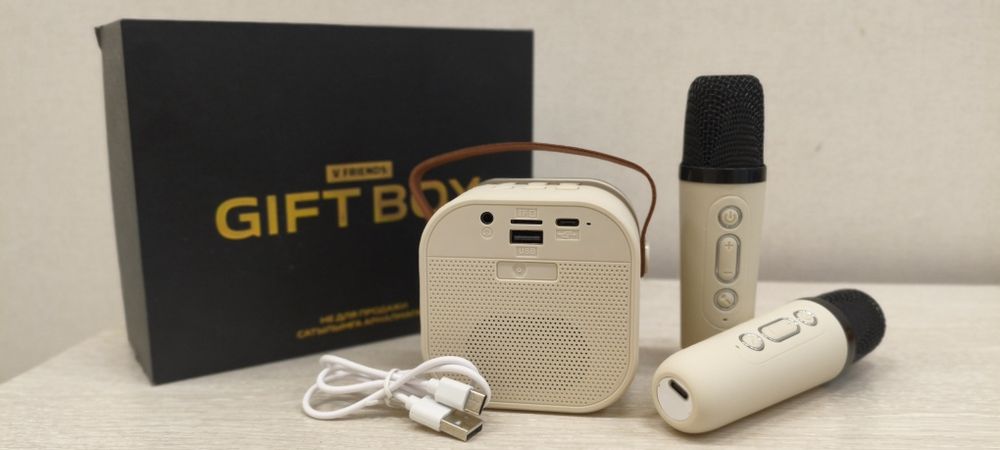 Mini колонка с 2-микрофонами