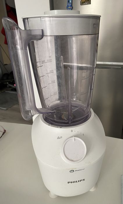Blender Philips problend