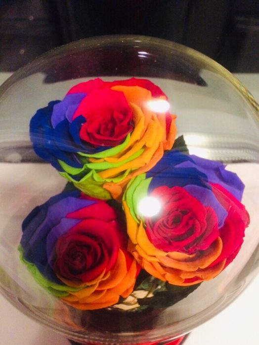 Cadou criogenat ideal pt orice aniversare