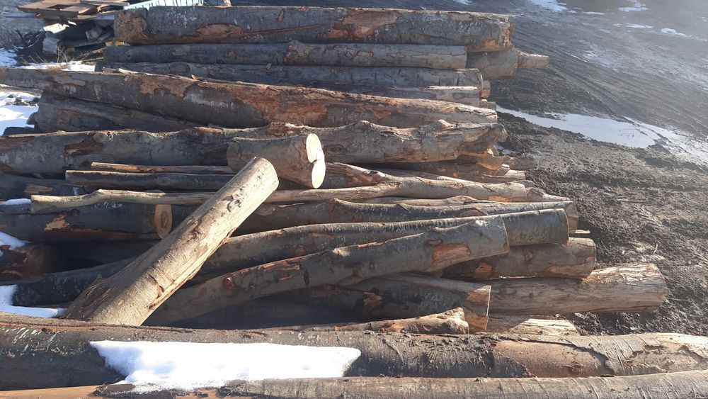 Lemne fag foc,și paleti deșeuri brad,și lemn rotund.