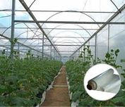 FOLIE SOLAR Aditivata UVA+EVA+AD+IR, 5 Ani Garanție, KRITIFIL/Grecia