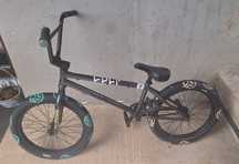 BMX We The People custom