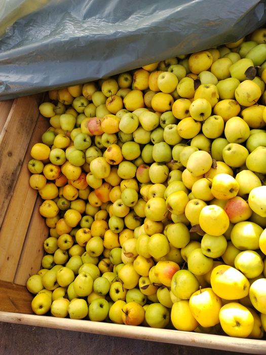 Suc de mere natural 100%