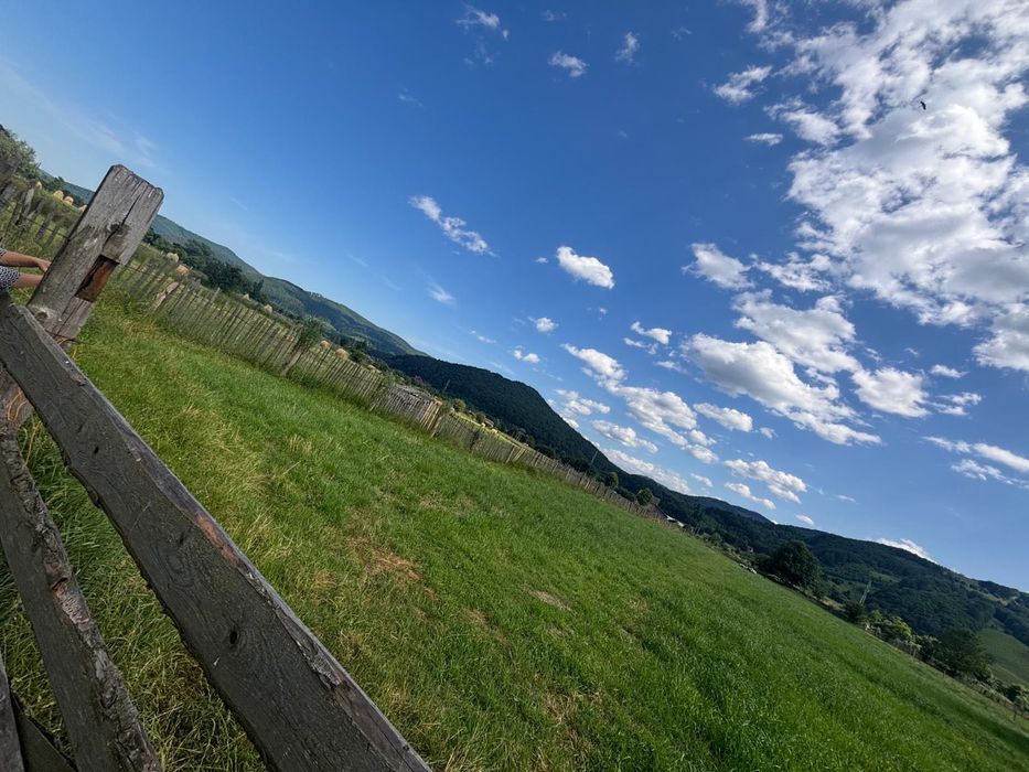 Teren de Vânzare Bucsoaia