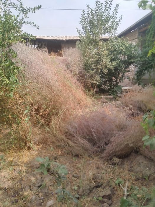 Qauli wipirgilar sotiladi 30mingdan