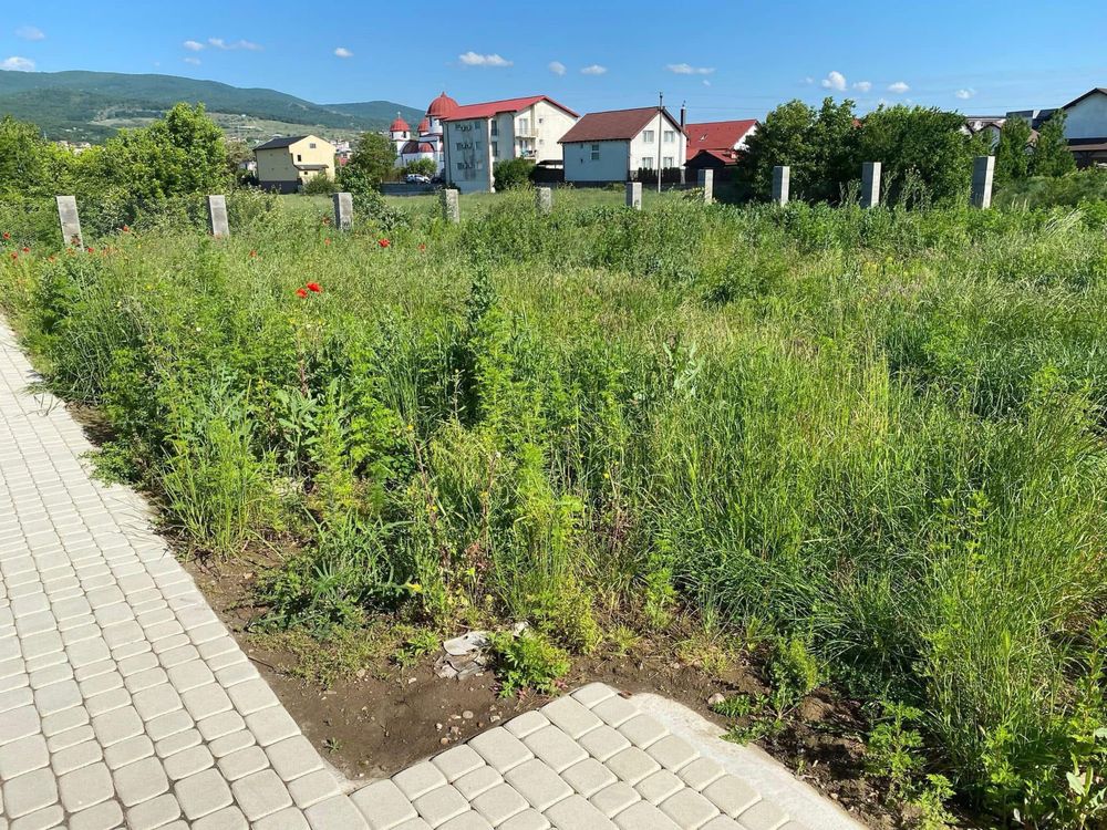 Grădina Ta Merită un Nou Început