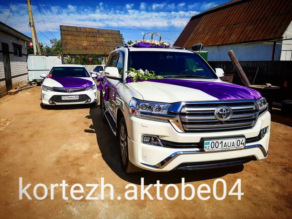 Аренда Авто Прокат Трансфер Кортеж Выписка Роддом Бизнес Встречи