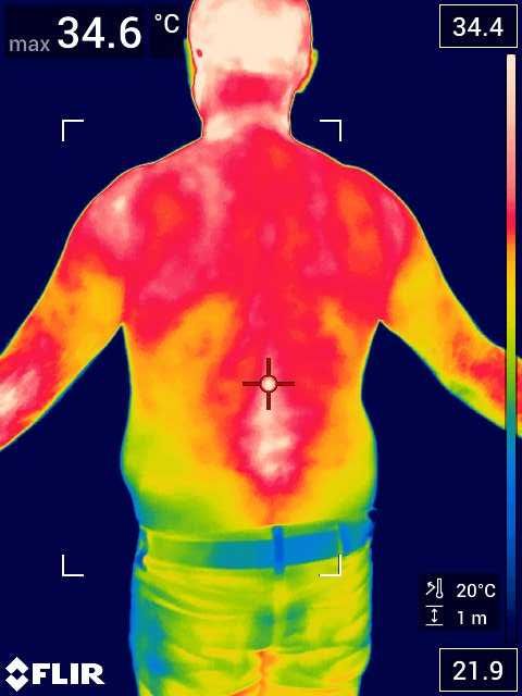 Camera termoscanare FLIR T540