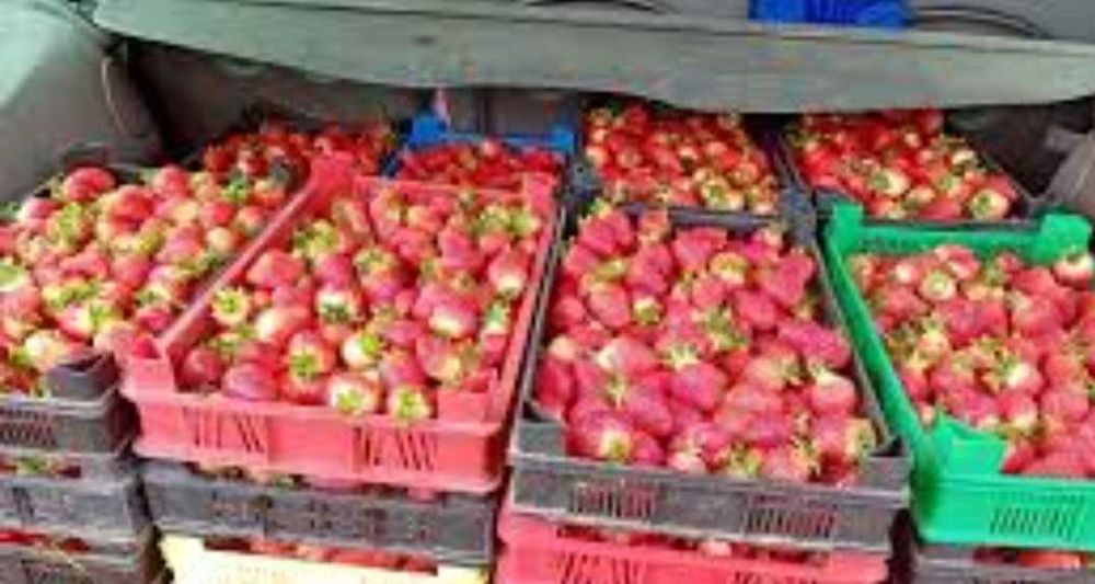 Подавам ягоди и малини.