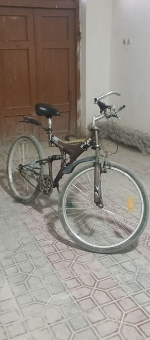 Velosibed holati yangi