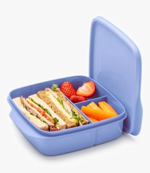 Tupperware ланч-бокс Школьник 1 шт, 550 мл.