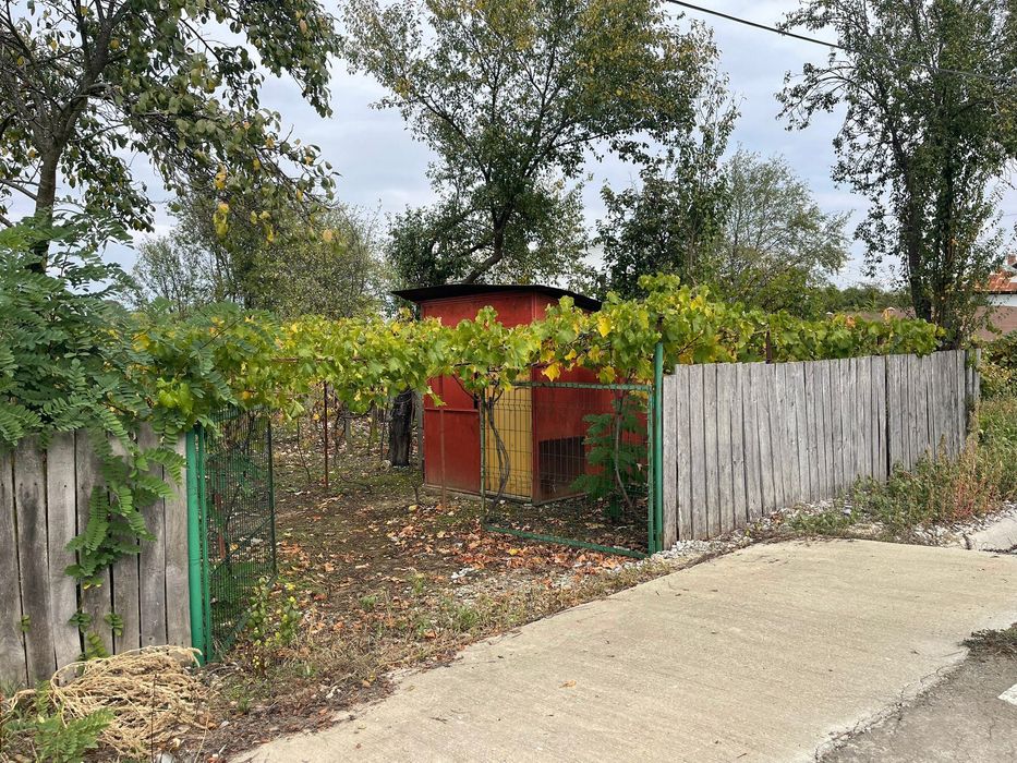 Teren cu vie de vânzare în Comuna Dănești, județul Gorj - 700mp