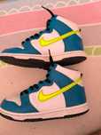 vand Nike Dunk High