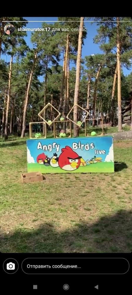 Продам готовый бизнес аттракцион angry birds