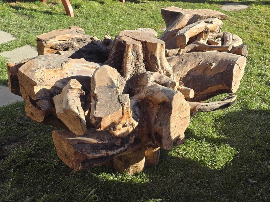 Vand radacina perfecta pt masa sau ca decoratiune