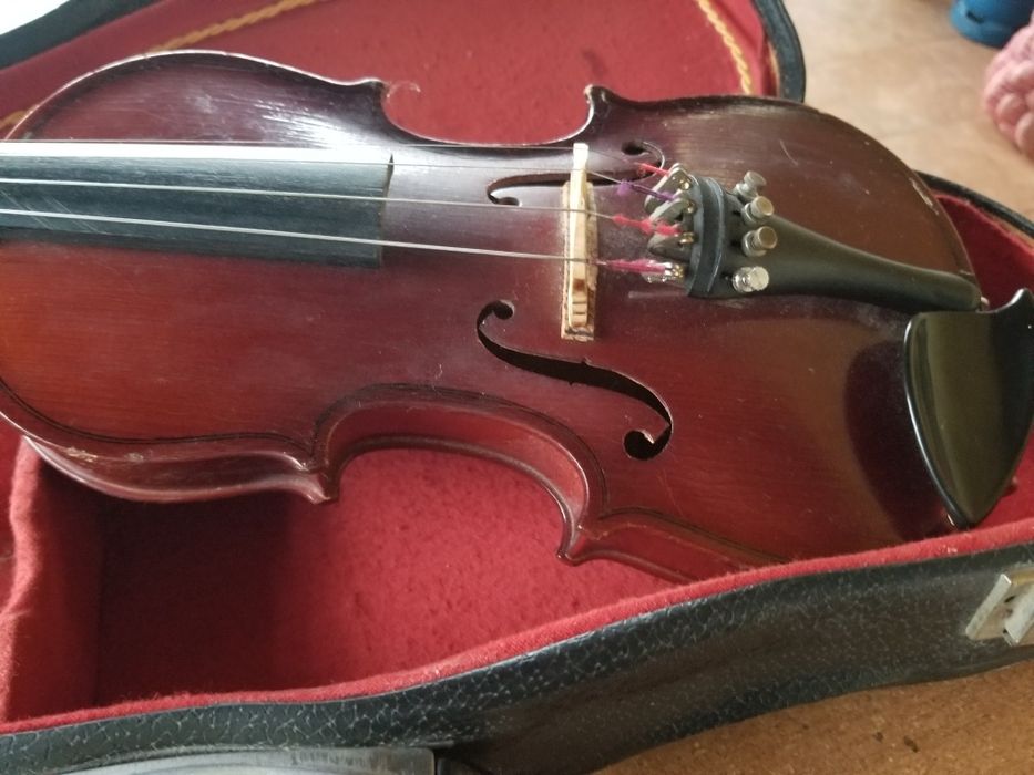 Vioara 1/4 Hora Reghin