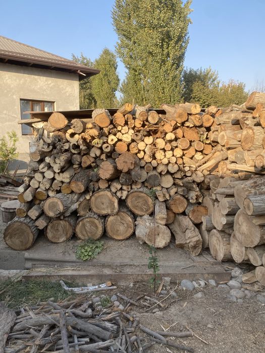 Qurigan Tayor Otinlar sotiladi Toshkenda narxini kelishamz