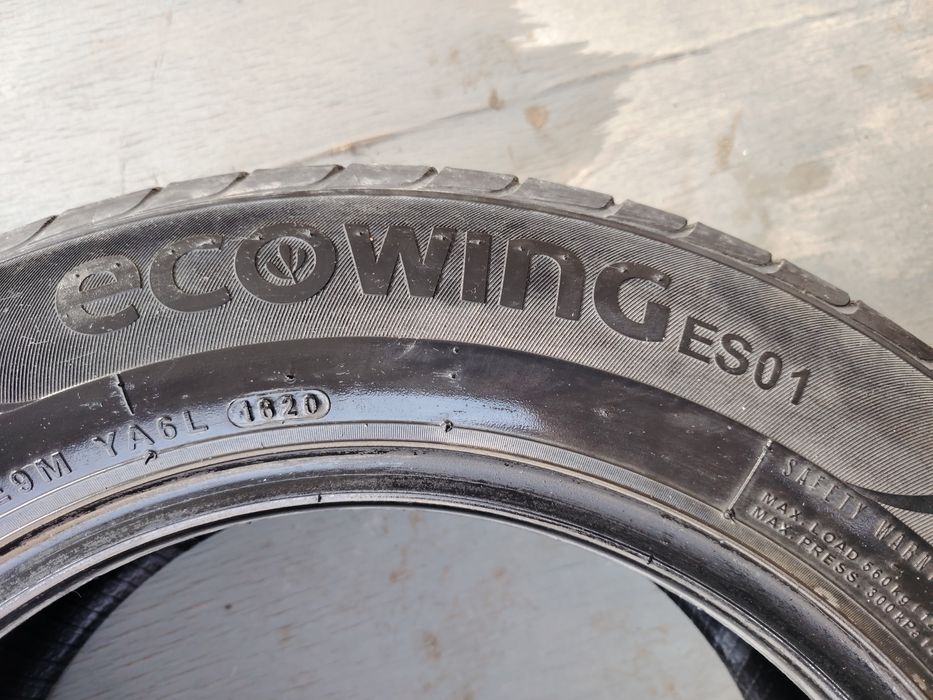 Жазғы дөңгелек тер