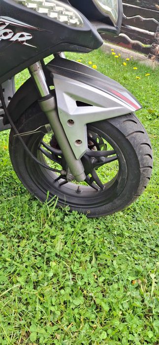 Scuter import Germania
