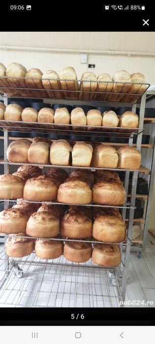 Brutarie traditionala