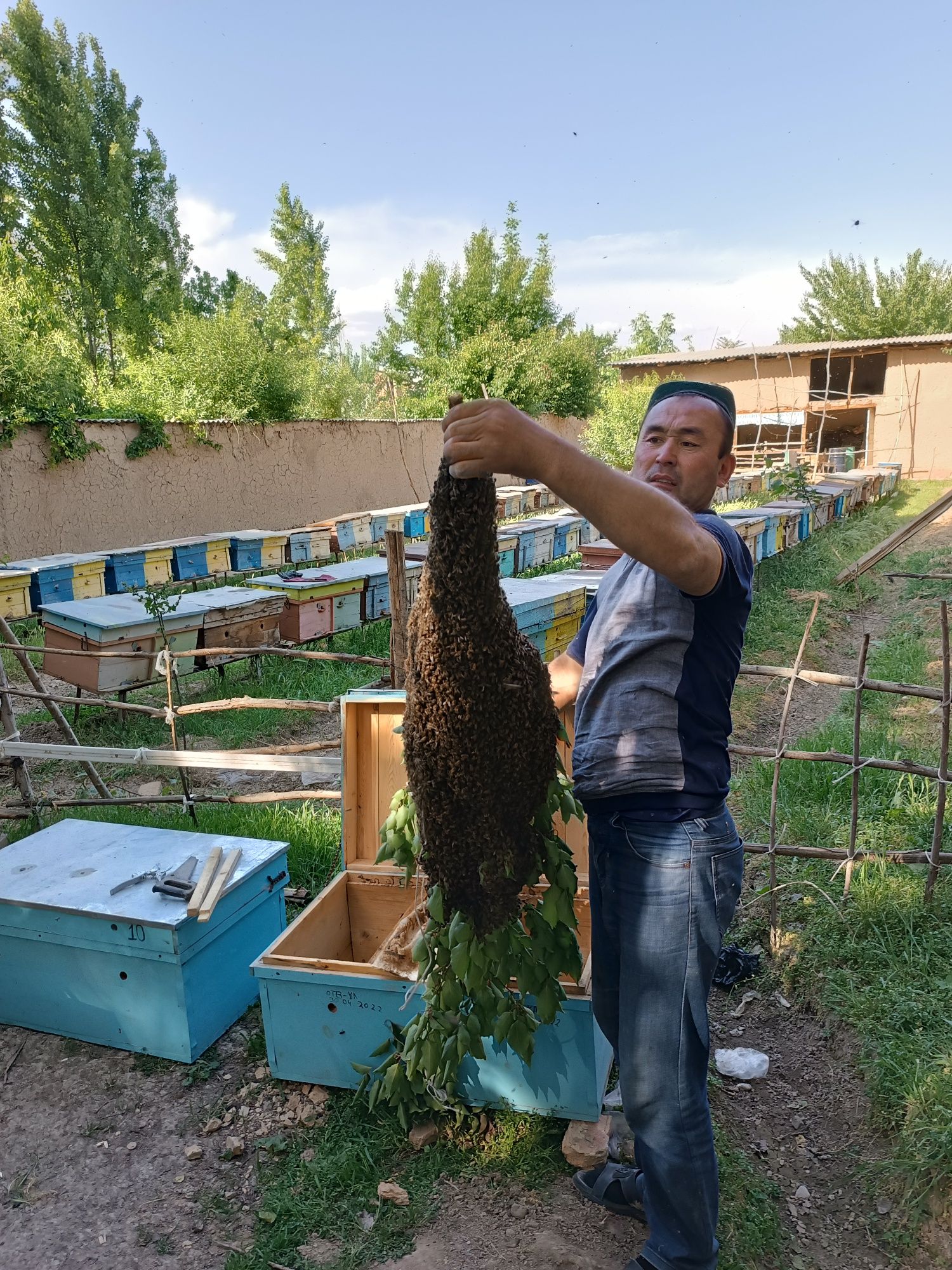 Аал ари оилалари сотилади