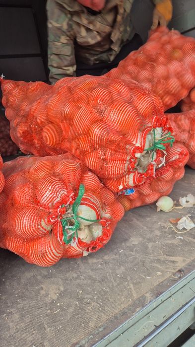 Лук, лук на перо