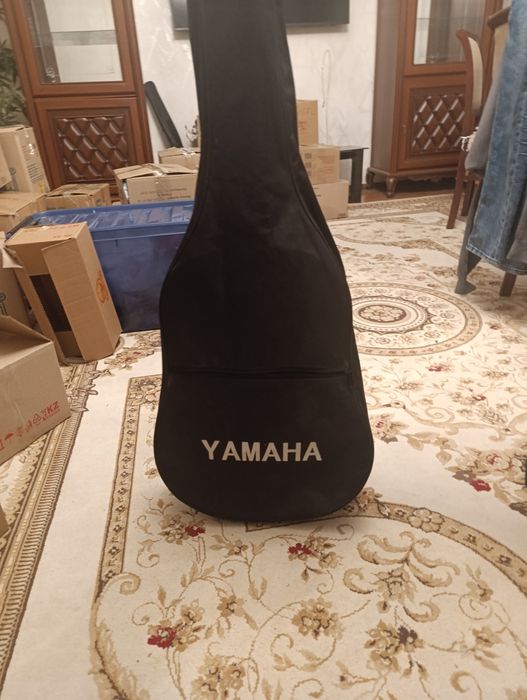 Гитара Amistar с чехлом