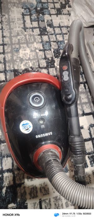 Pilisos samsun arginal