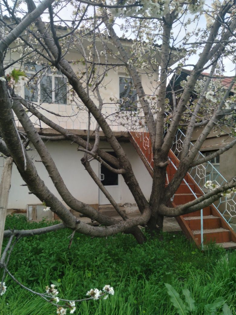 Xovli uy sotiladi