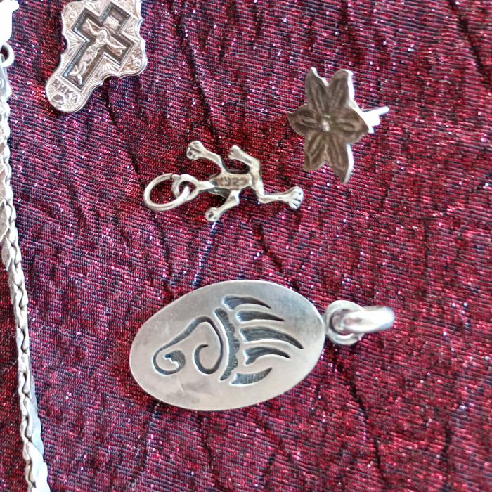 Сребърна висулка меча лапа