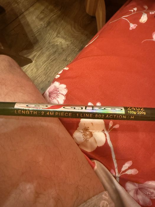 Въдица с макара почти нова