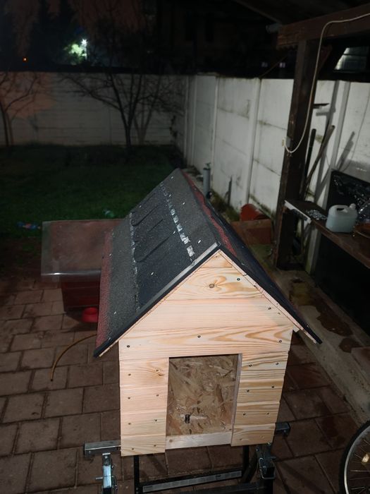 Custi pt caini orice model