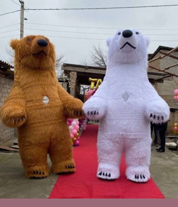 Ayiqlar sotiladi | Ayiq sotiladi