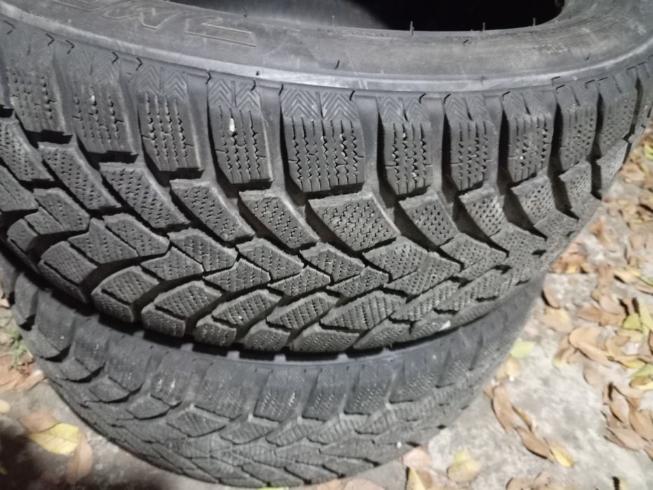 Зима жағдайы жақсы