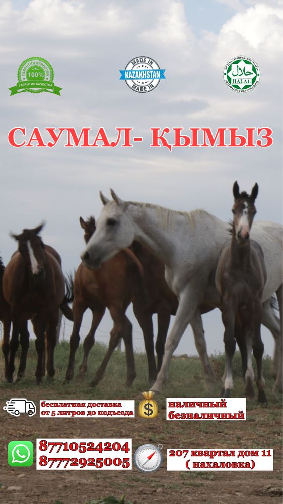 чистый неразбавленный КЫМЫЗ и Саумал
