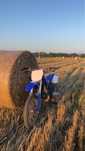 Yamaha YZ250 2016 2T