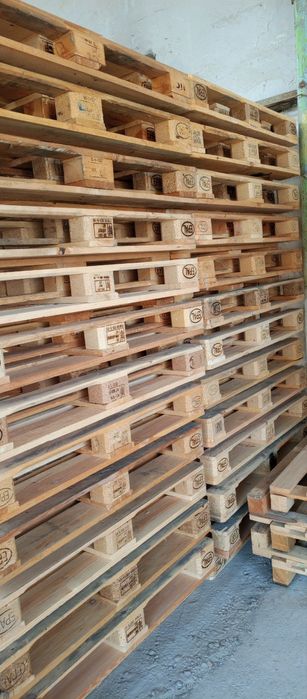 Paddon 1- sort yevro 80 mingdan