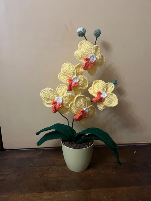 Плетени орхидеи-продавам
