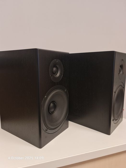 Totem Loon super pret boxe High-End