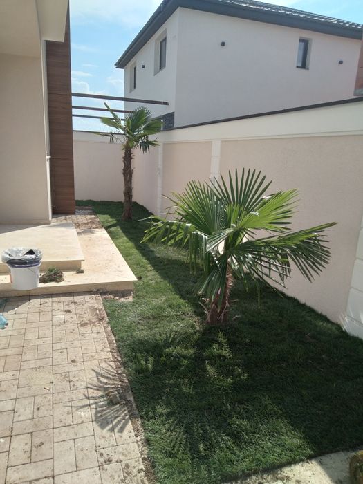 Plante ornamentale gazon sistem de irigat-gazon