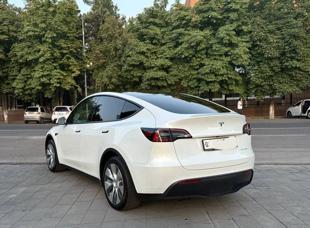 Tesla Model Y  Dual Motor Long Range