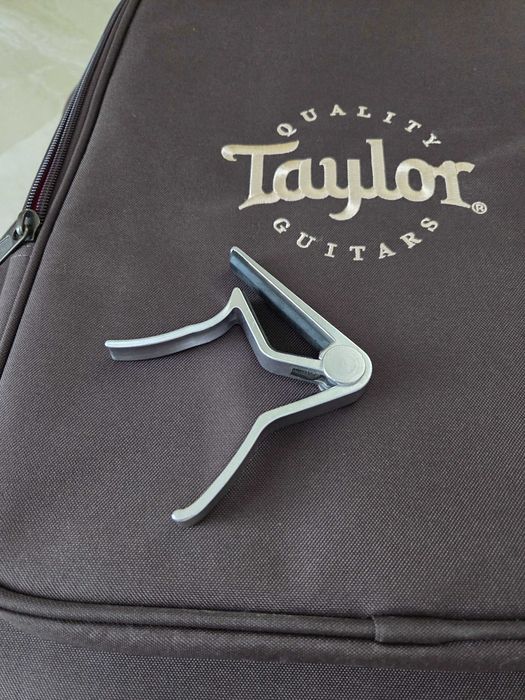 Taylor Gs Mini-e Koa Plus
